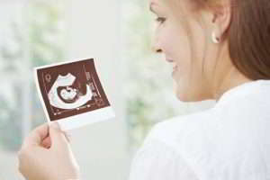 embrião gravidez