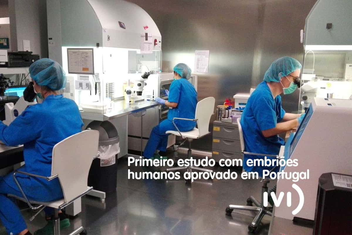 Primeira investigação com embriões humanos aprovada em Portugal