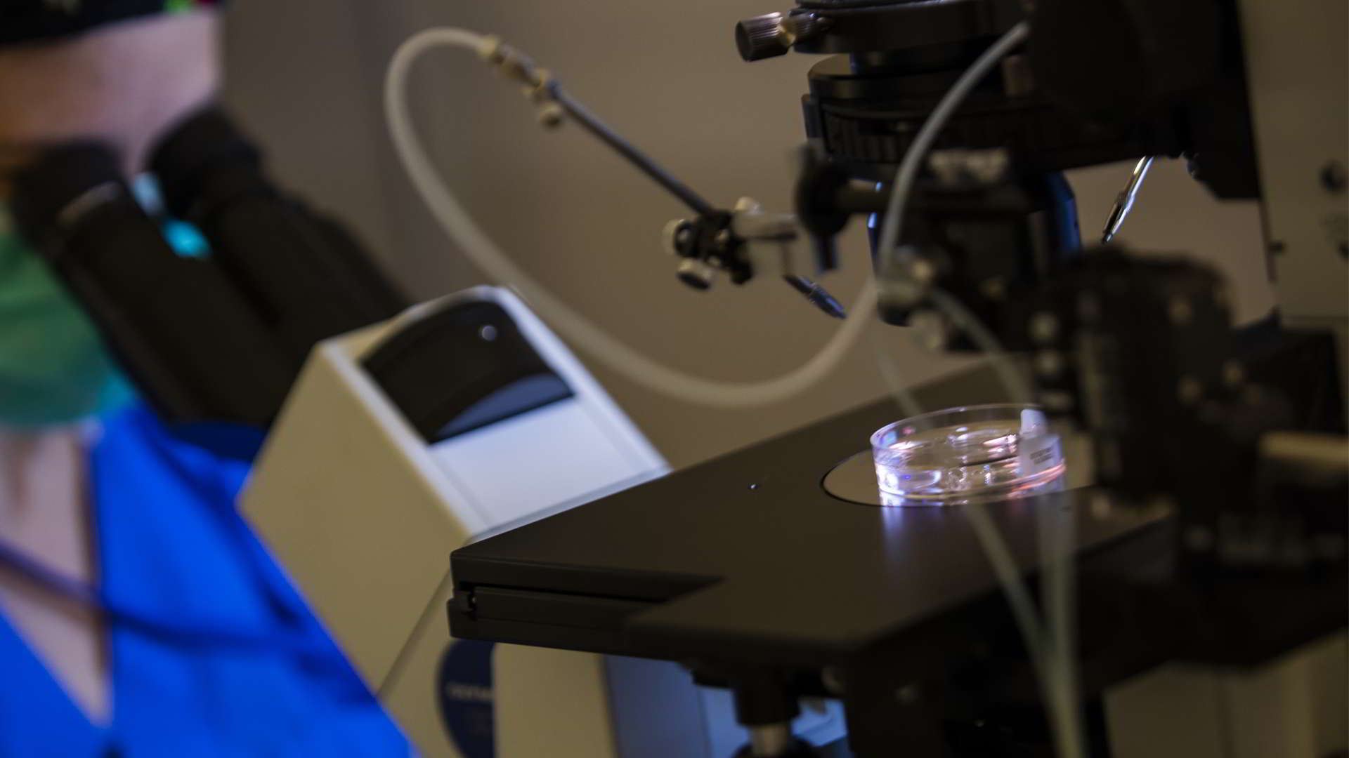 Injeção Intracitoplásmica (ICSI) - Clínicas de Fertilidade IVI