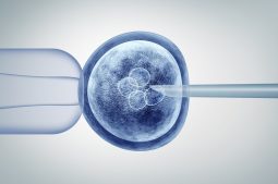 Testes genéticos pré-implantacionais