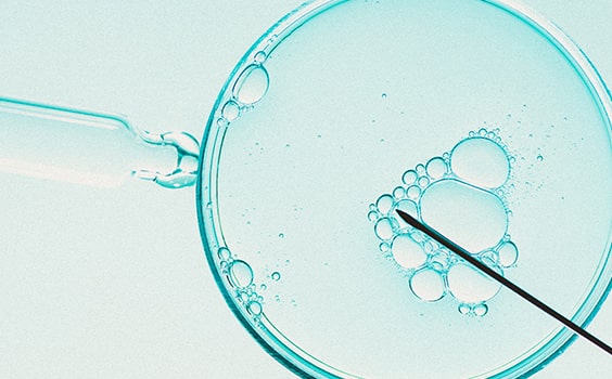 Procriação Assistida