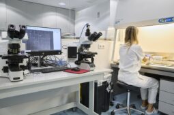 Como a inteligência artificial está a mudar os tratamentos de fertilidade