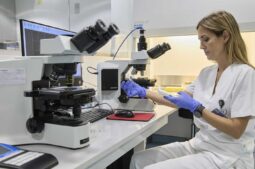 Fertilidade masculina: estudo muda o que sabemos sobre a idade
